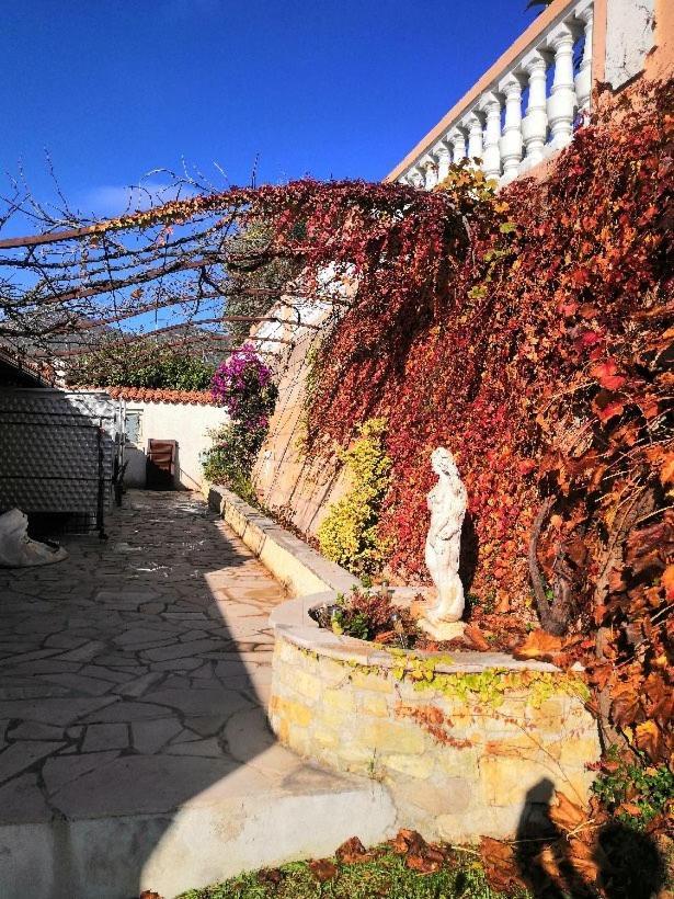 Chambres Chez L'Habitant Villa L'Ile Aux Anges Saint-André 외부 사진